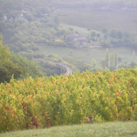 Valady Maison Isolee Dans Les Vignes Et Les Bois מראה חיצוני תמונה
