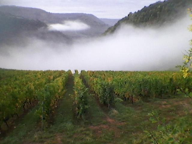 Valady Maison Isolee Dans Les Vignes Et Les Bois מראה חיצוני תמונה