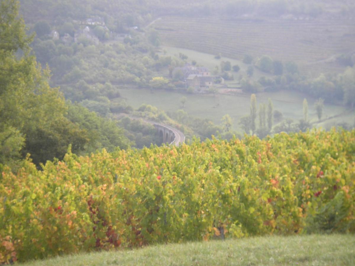 Valady Maison Isolee Dans Les Vignes Et Les Bois מראה חיצוני תמונה