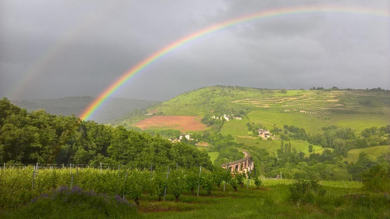 Valady Maison Isolee Dans Les Vignes Et Les Bois מראה חיצוני תמונה